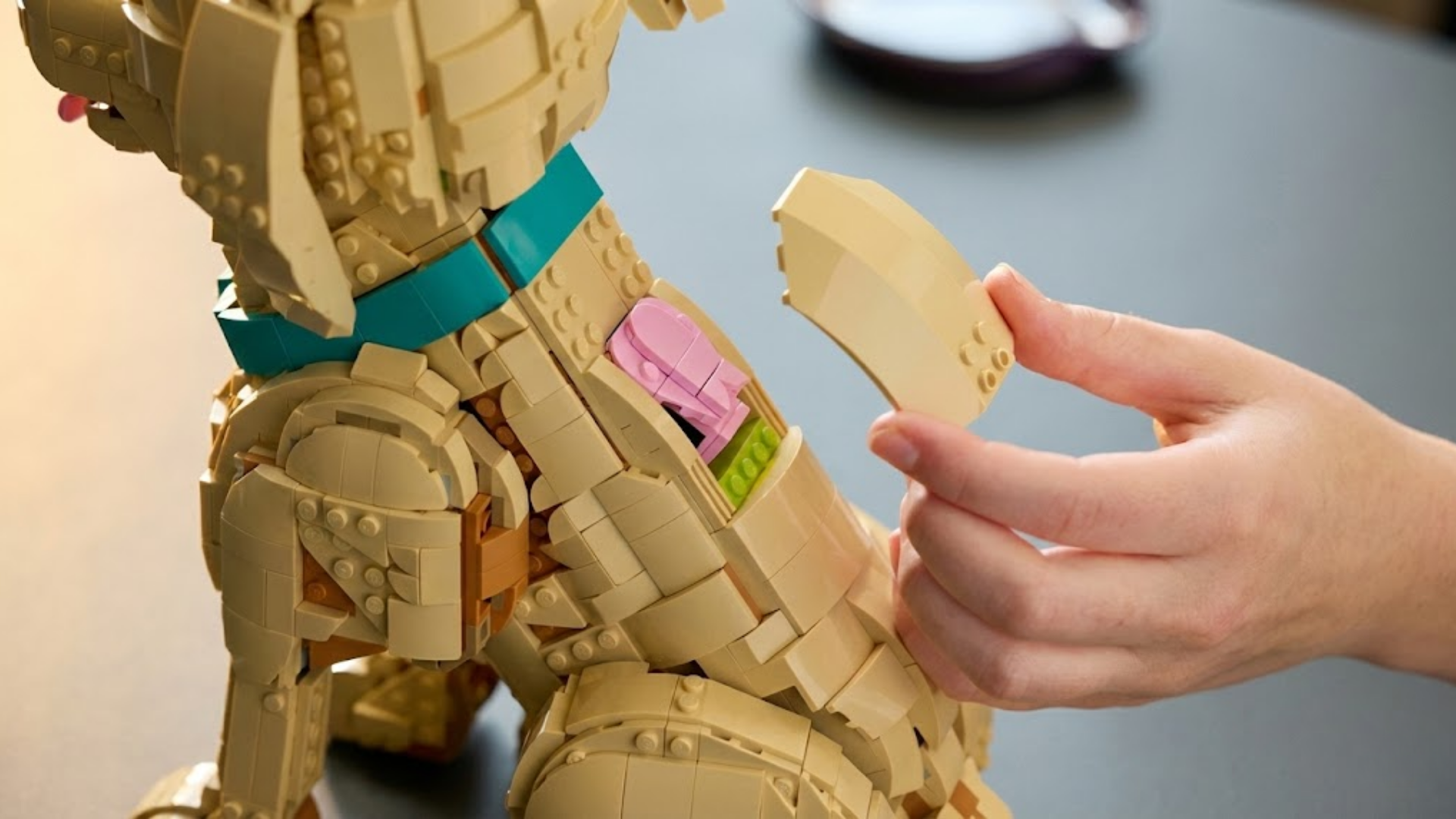 Detalhe 6